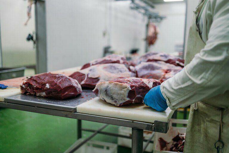 Imagem de compartilhamento para o artigo Exportação de carne bovina cresce e chega a 700 milhões neste ano em MS da MS Todo dia